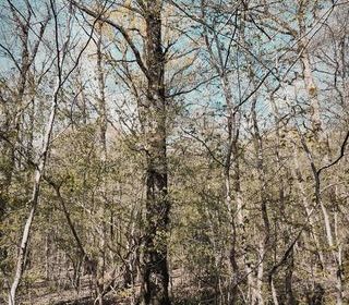  Terrain � vendre 6725 m�