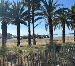  Appartement � vendre 3 pi�ces 38 m�