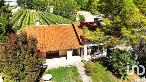   Vente Maison de village 5 pi�ces Maison - 5 pi�ce(s) - 96 m�