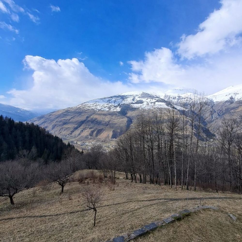 � vendre  Maison Bourg-Saint-Maurice (73700)