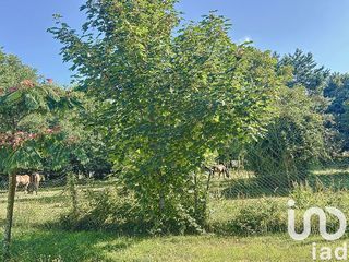  Maison � vendre 15 + pi�ces 288 m�