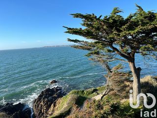  Appartement � vendre 4 pi�ces 100 m�