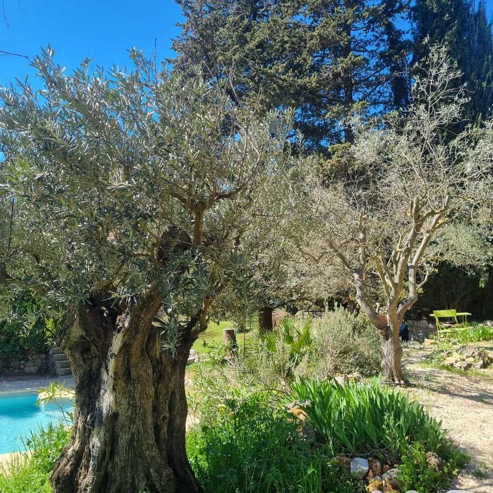 � vendre  Maison Lorgues (83510)