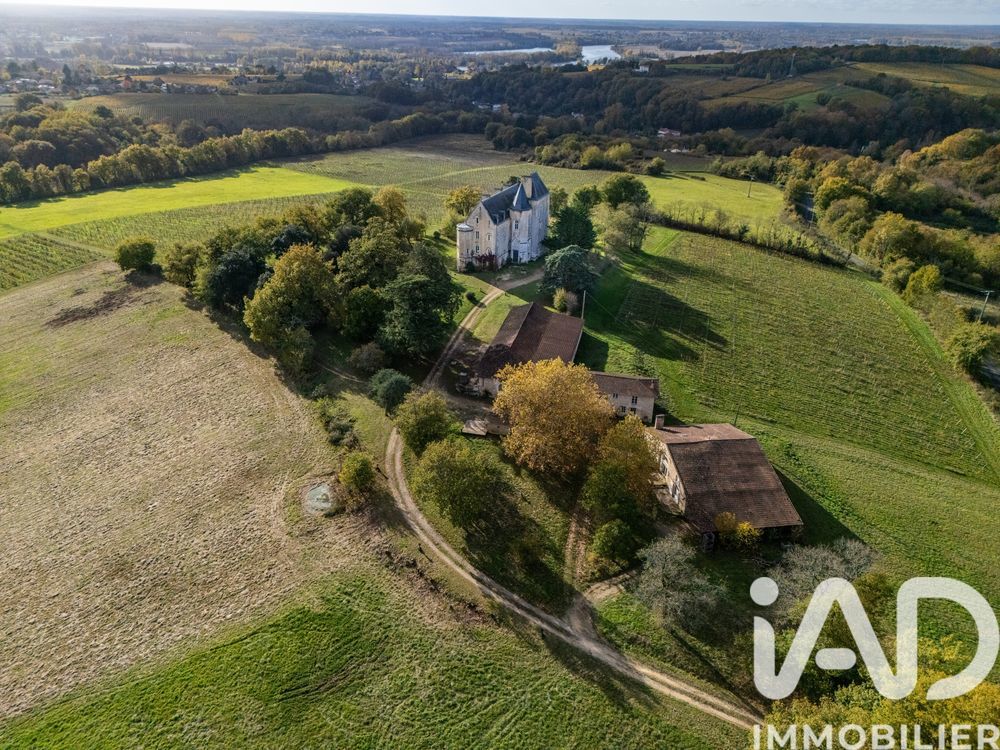 � vendre  Propri�t�/ch�teau Villenave-de-Rions (33550)