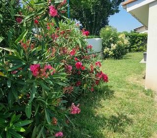  Maison � vendre 5 pi�ces 116 m�