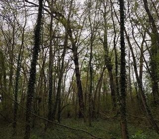  Terrain � vendre 7123 m�