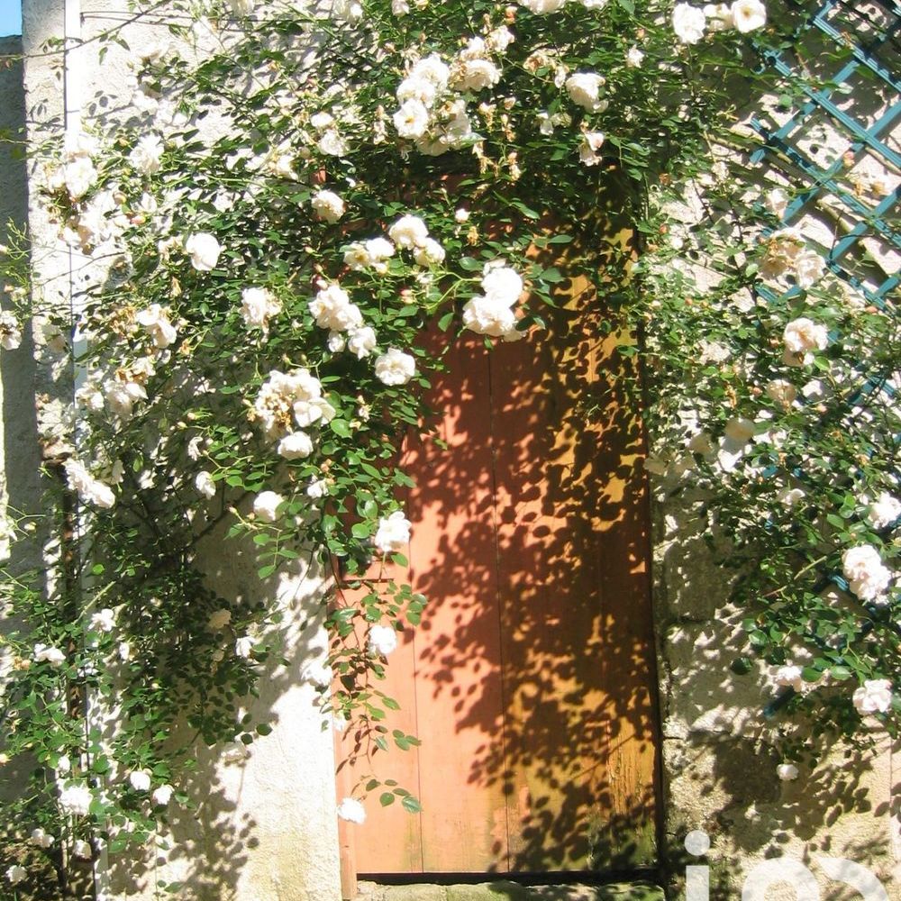 � vendre  Propri�t�/ch�teau Saint-Denis-la-Chevasse (85170)