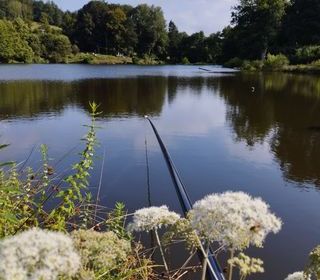  Terrain � vendre 31507 m�