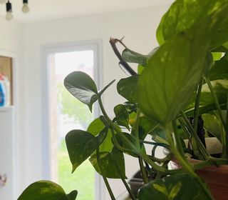  Maison � vendre 5 pi�ces 106 m�