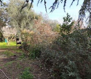  Maison � vendre 8 pi�ces 140 m�