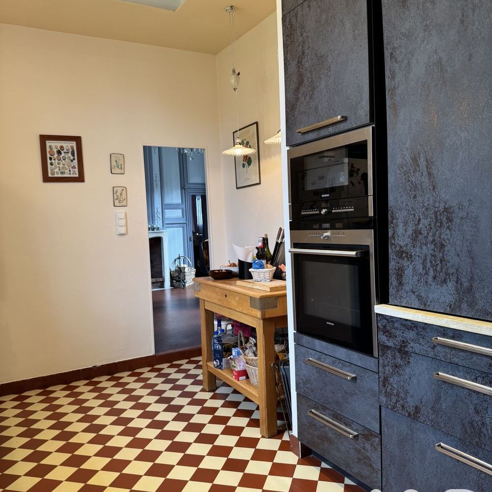 � vendre  Propri�t�/ch�teau Vornay (18130)