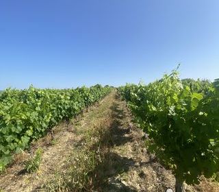  Terrain � vendre 58175 m�