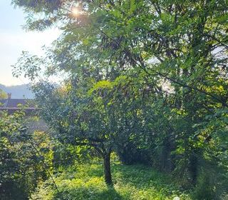  Maison � vendre 8 pi�ces 250 m�