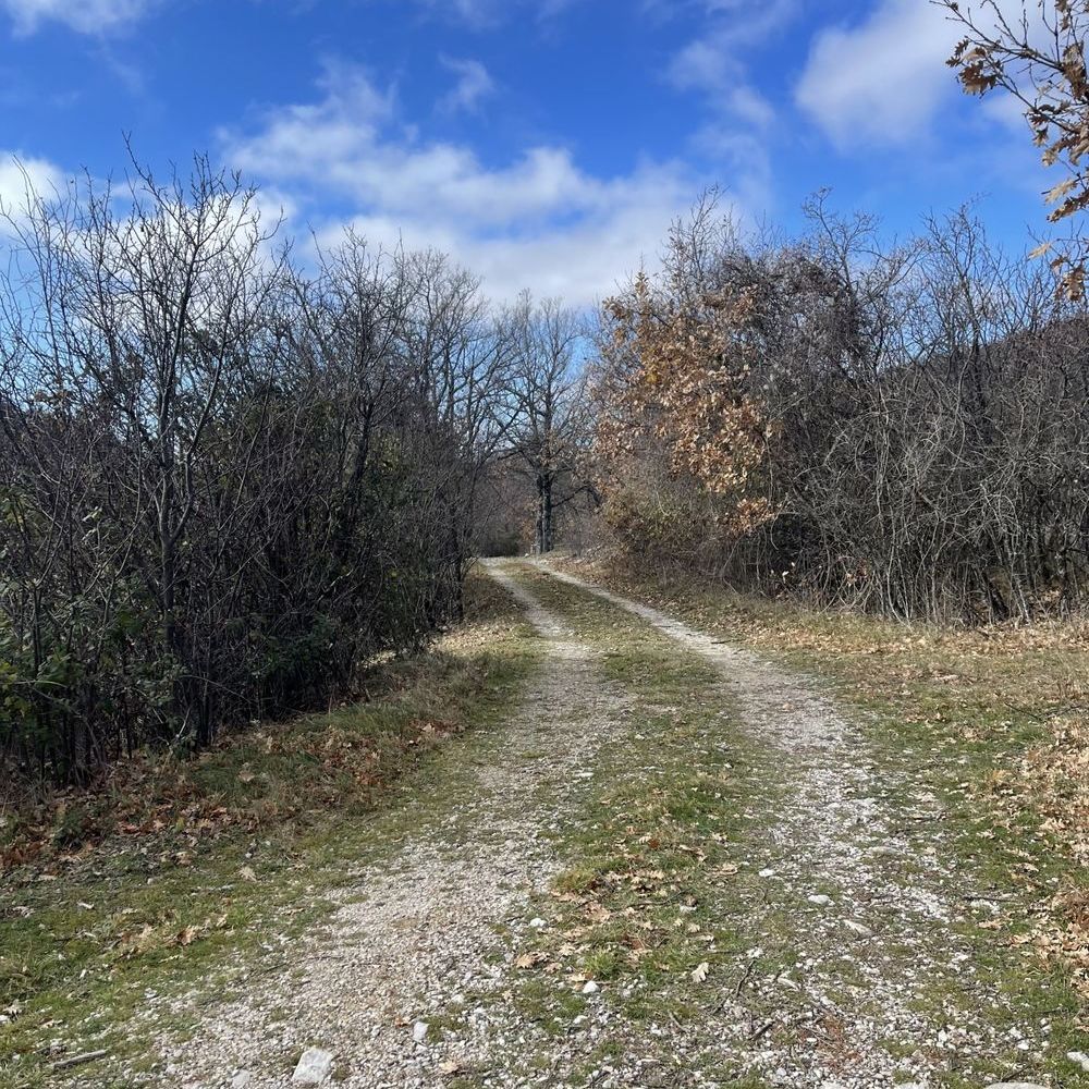 � vendre  Maison L'Hospitalet (04150)