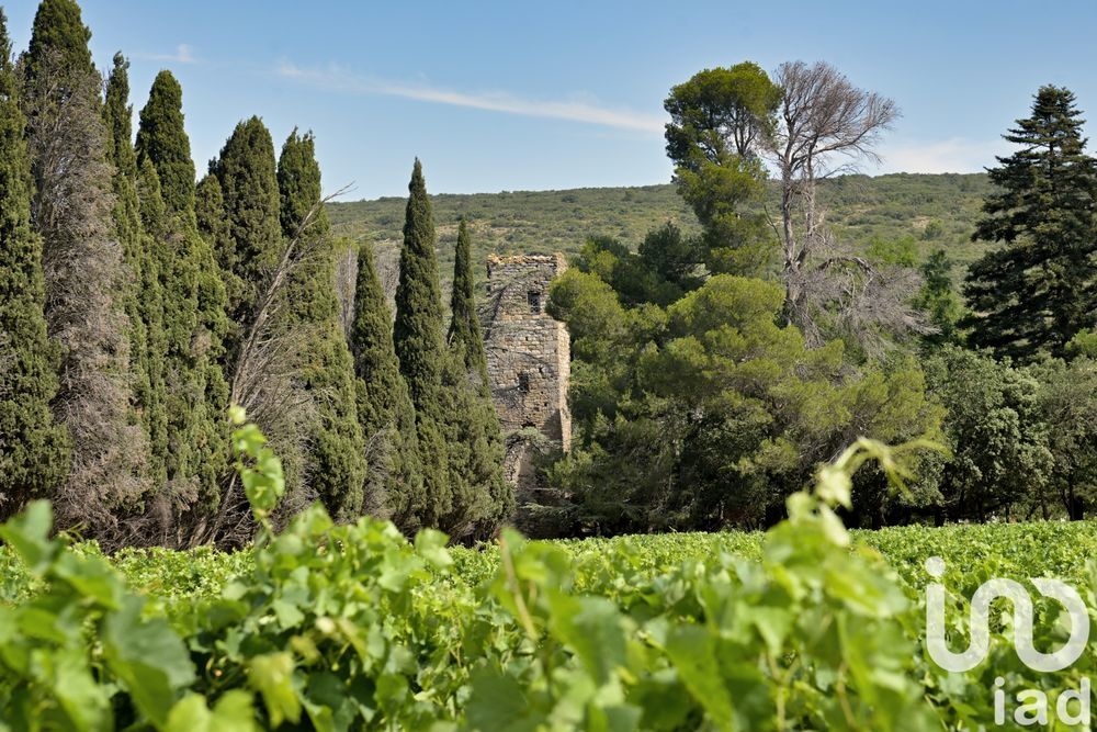 � vendre  Maison Tr�bes (11800)