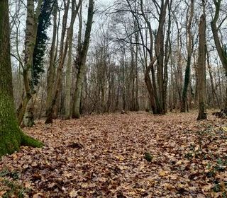  Terrain � vendre 7227 m�