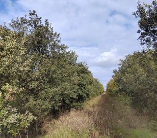  Terrain � vendre 7825 m�