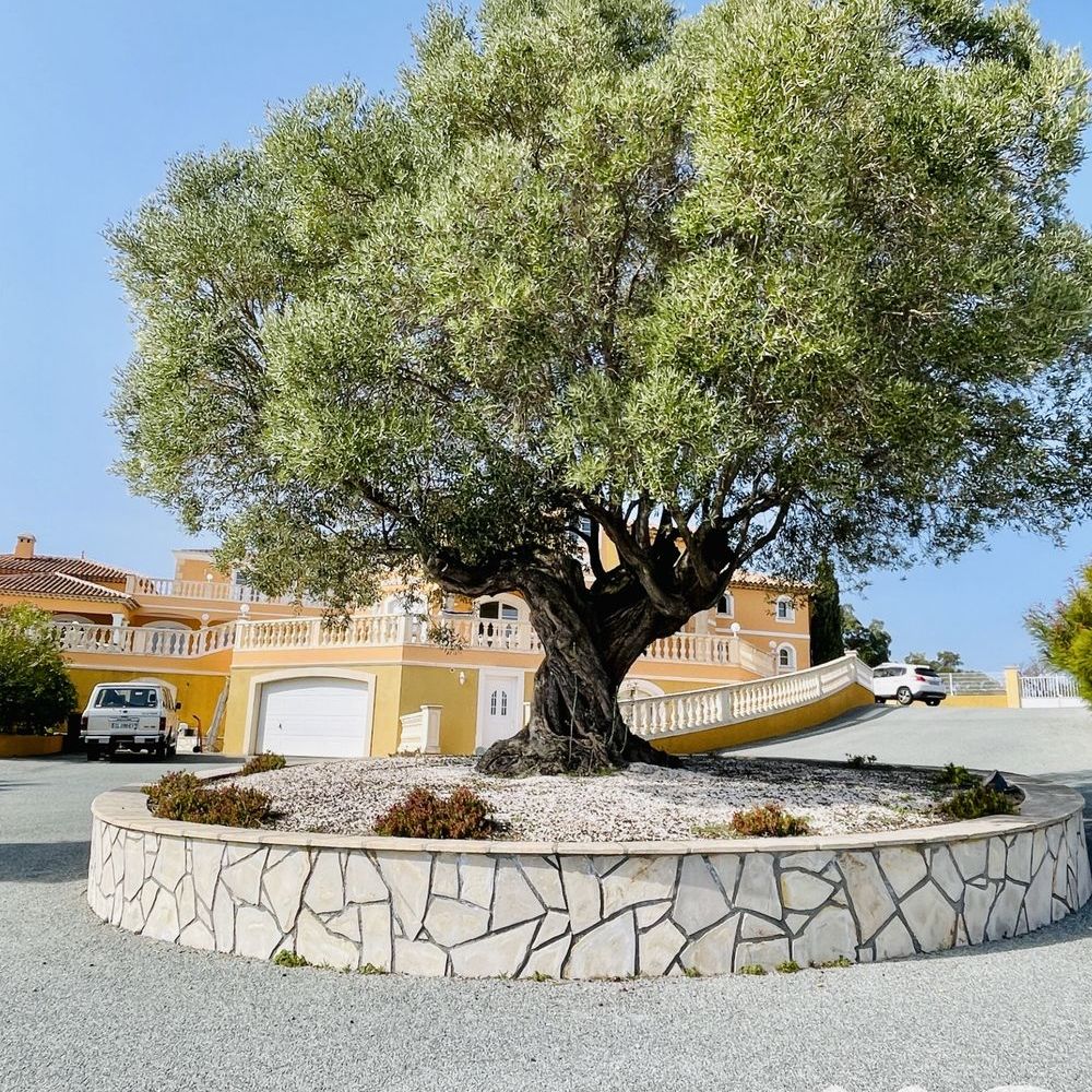 � vendre  Maison Saint-Rapha�l (83700)