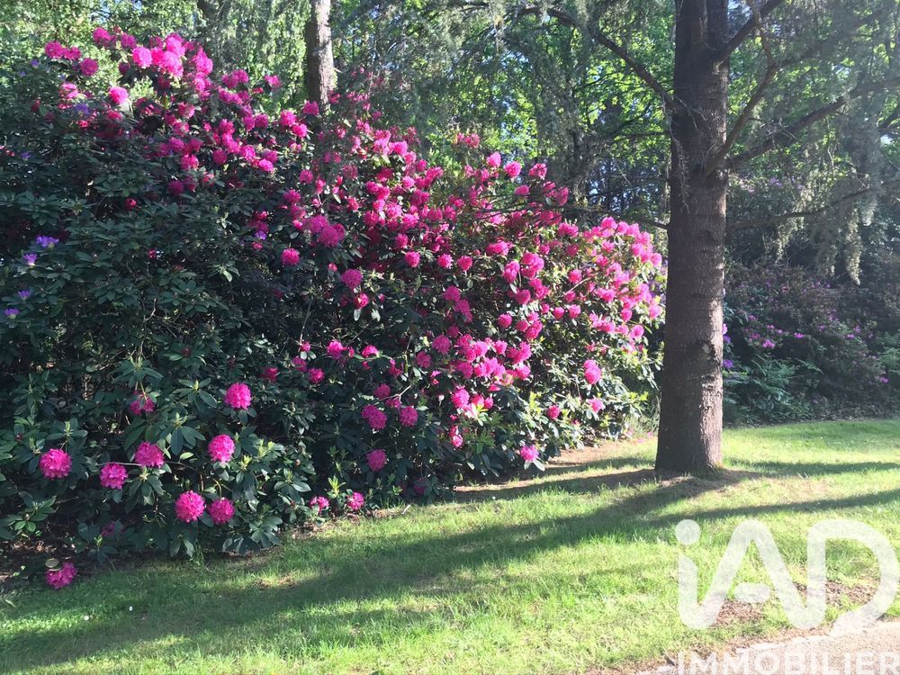 � vendre  Maison Theix-noyalo (56450)