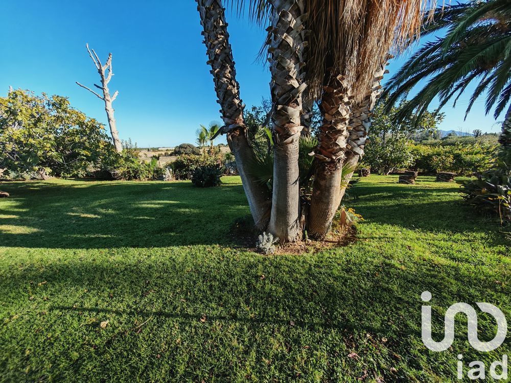 � vendre  Maison Perpignan (66000)