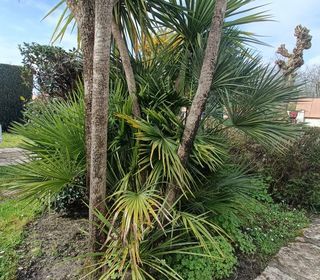  Maison � vendre 4 pi�ces 122 m�