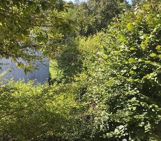  Appartement � vendre 3 pi�ces 54 m�