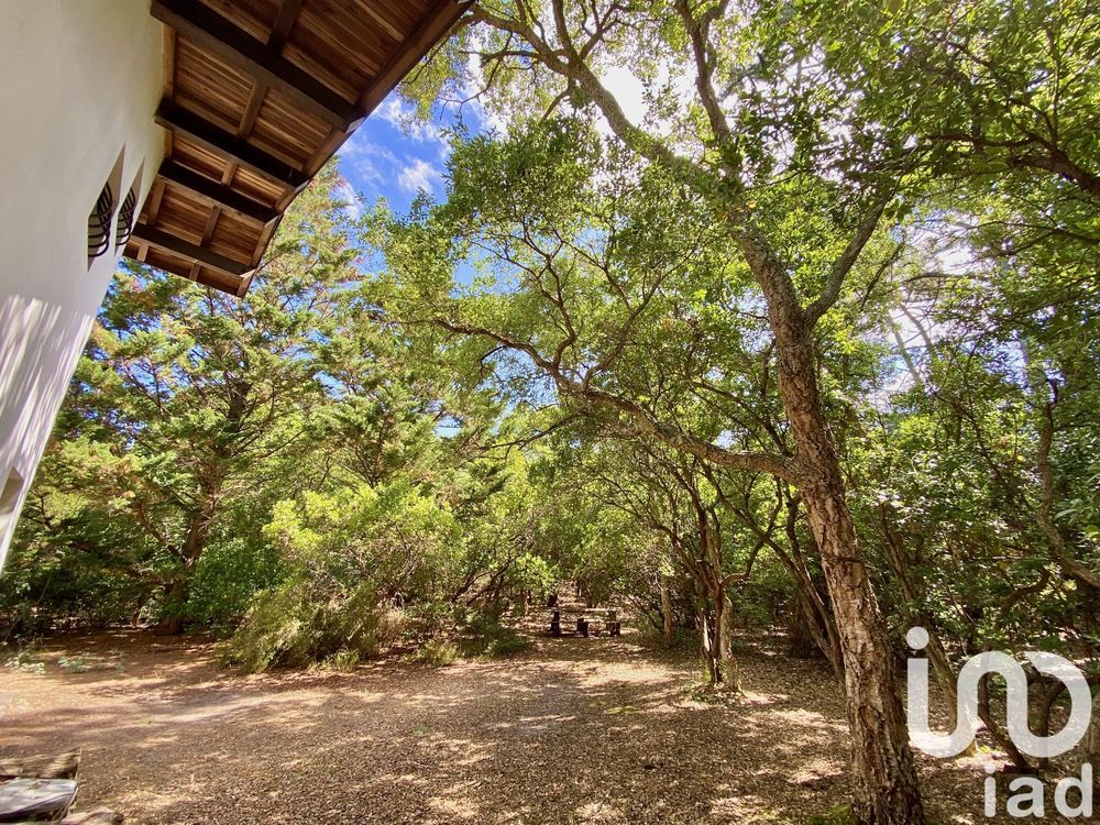 � vendre  Maison Saint-Julien-en-Born (40170)