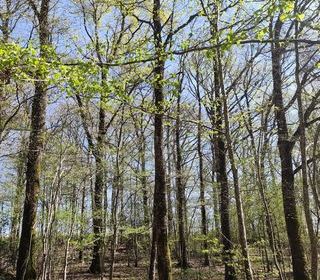  Terrain � vendre 6725 m�