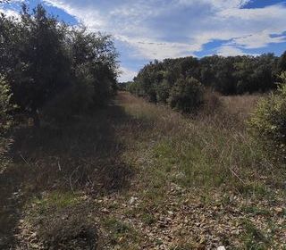  Terrain � vendre 4300 m�