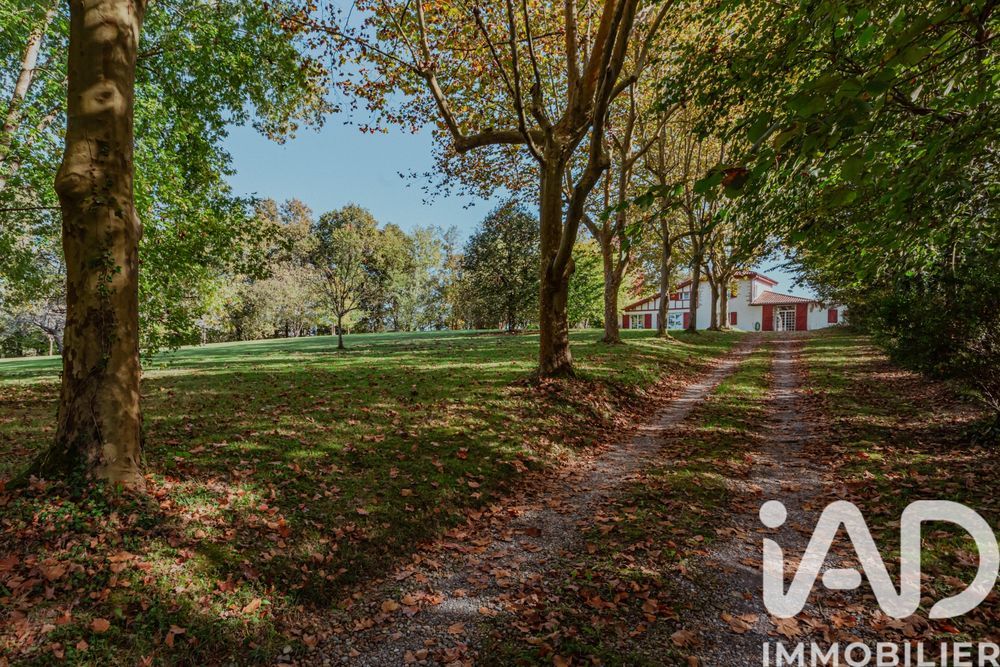 � vendre  Maison Urt (64240)