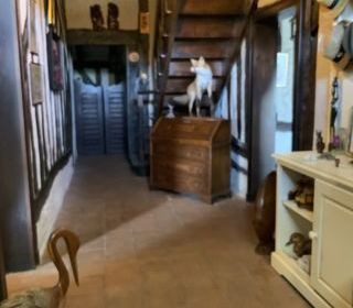  Maison � vendre 5 pi�ces 172 m�