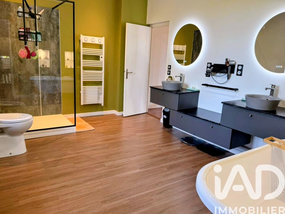 � vendre  Propri�t�/ch�teau Gasques (82400)