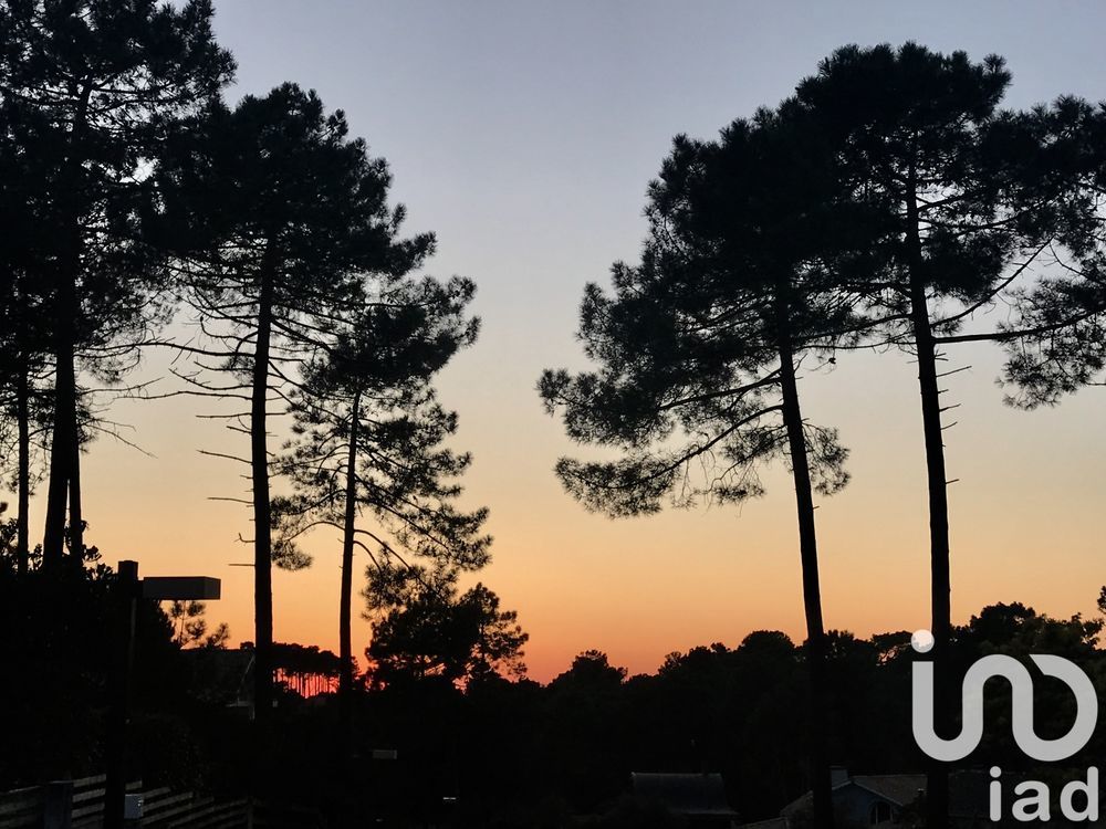 � vendre  Maison Lacanau (33680)