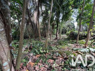  Terrain � vendre 2007 m�