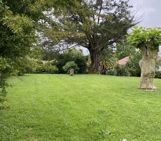  Terrain � vendre 717 m�