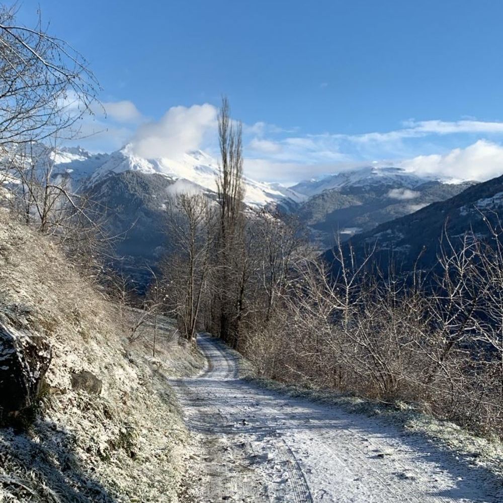 � vendre  Maison Les Chapelles (73700)