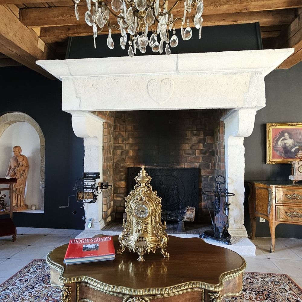 � vendre  Propri�t�/ch�teau Vi�vy (21230)