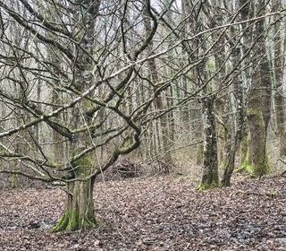  Terrain � vendre 405918 m�