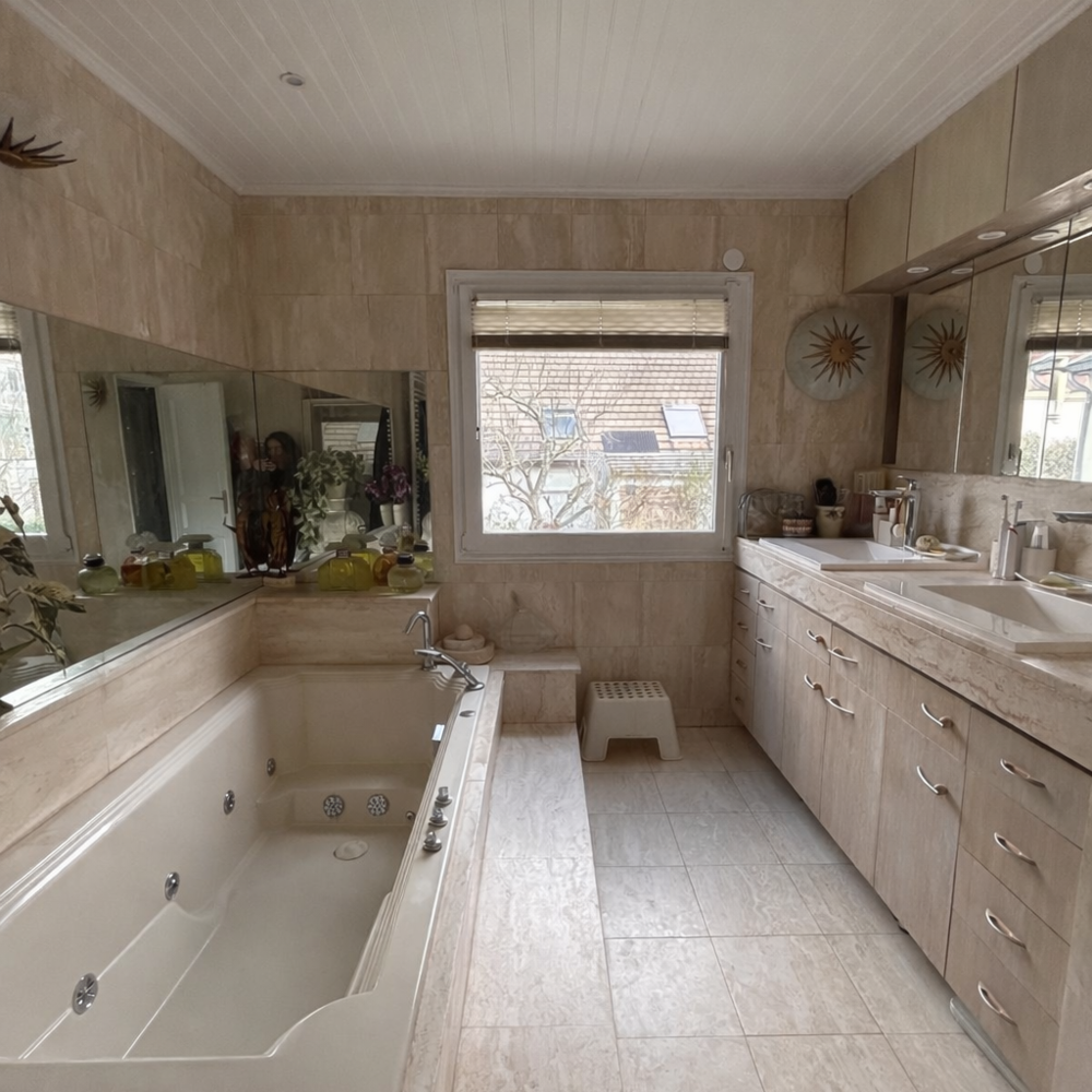 � vendre  Maison Bagneux (92220)