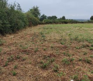  Terrain � vendre 4300 m�