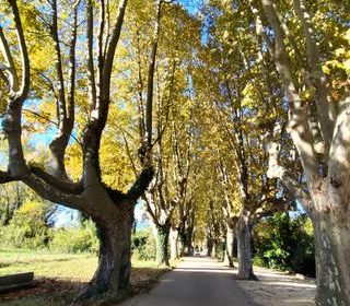  Maison � vendre 5 pi�ces 86 m�