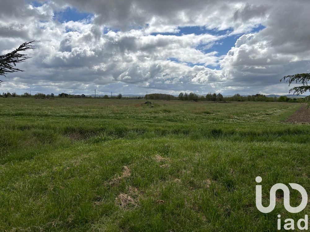 � vendre  Maison Lisle-sur-Tarn (81310)