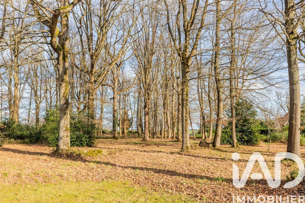 � vendre  Villa Janvry (91640)