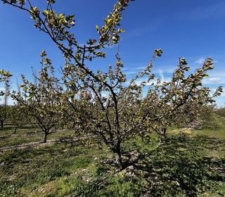  Terrain � vendre 103160 m�