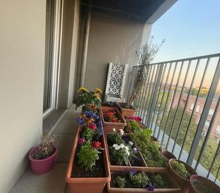  Appartement � vendre 3 pi�ces 62 m�