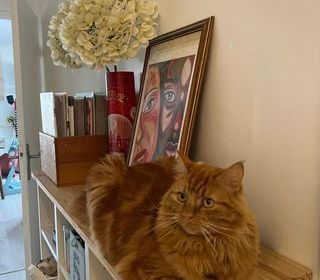  Appartement � vendre 4 pi�ces 83 m�