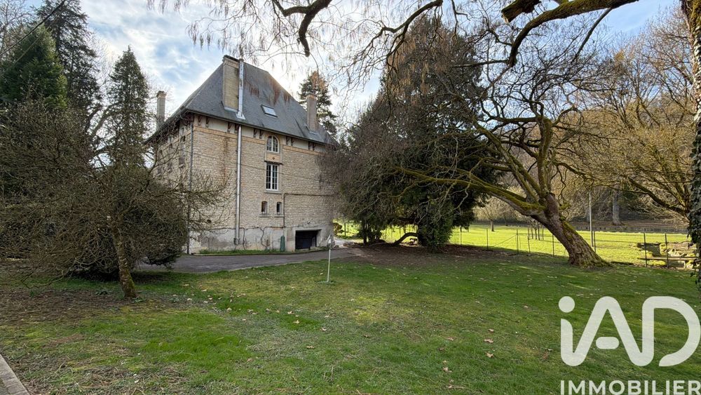 � vendre  Propri�t�/ch�teau Joinville (52300)