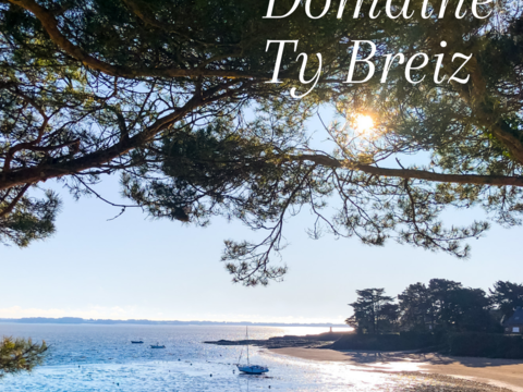   Vente Chalet 3 pi�ces Maison - 3 pi�ce(s) - 35 m�