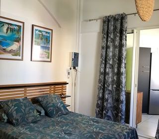  Appartement � vendre 2 pi�ces 35 m�