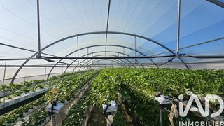  Terrain � vendre 2806 m�